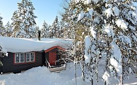 Björnbyn